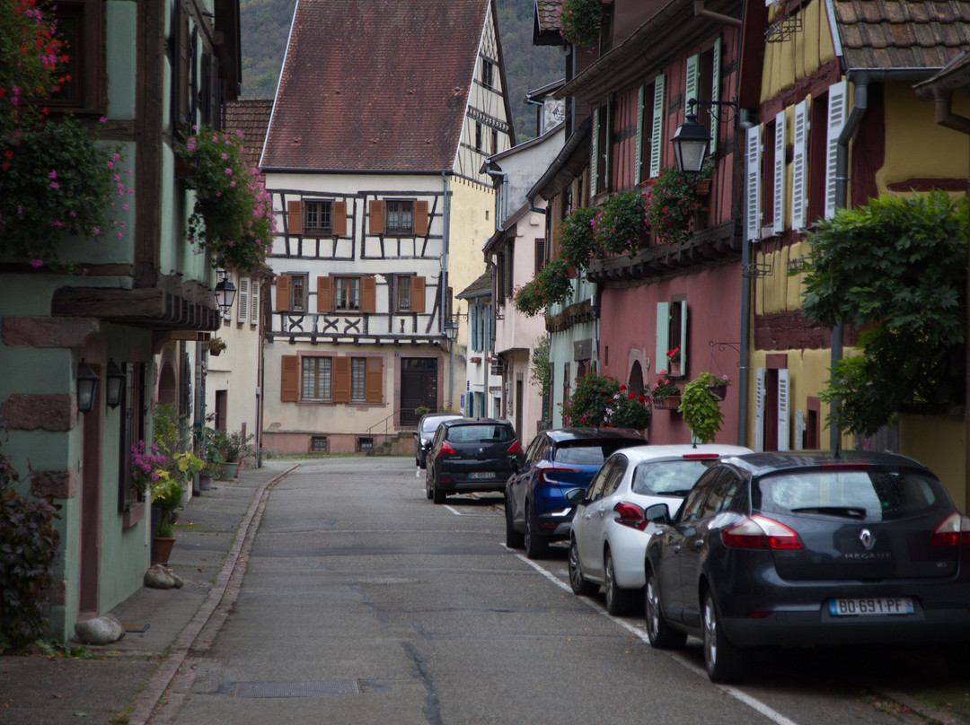Vieille Ville de Turckheim景点图片