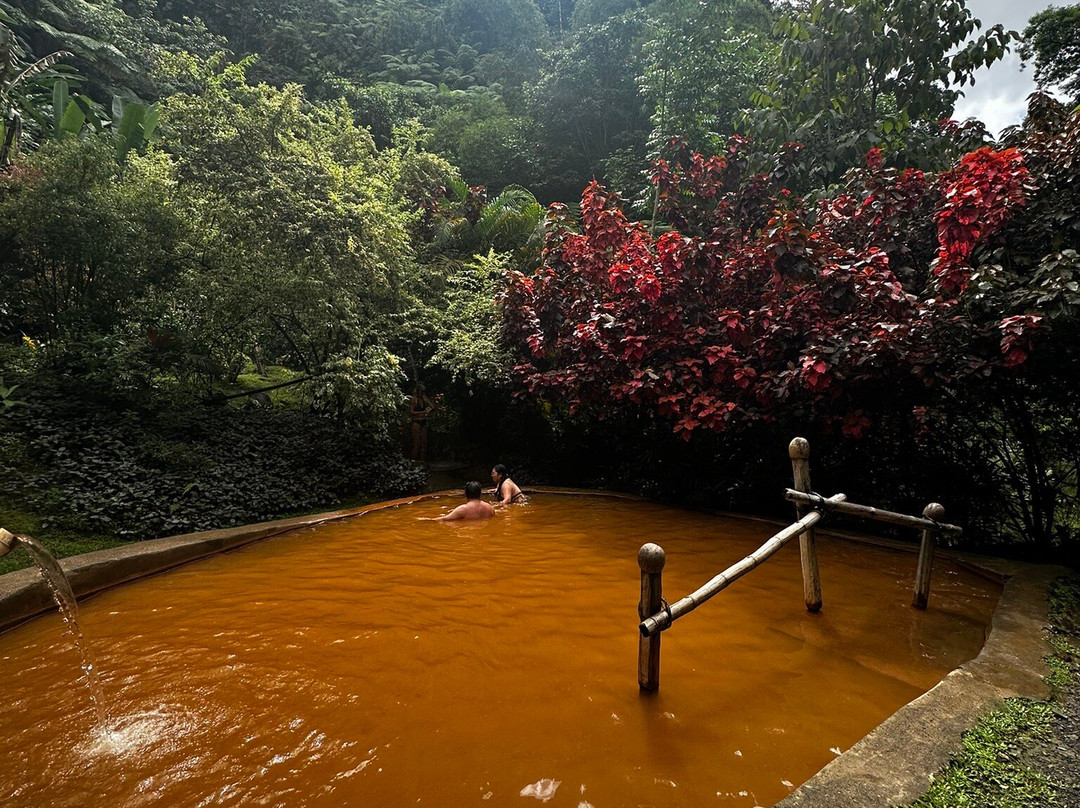 Ti Kwen Glo Cho Hot Springs-多米尼克必去景点
