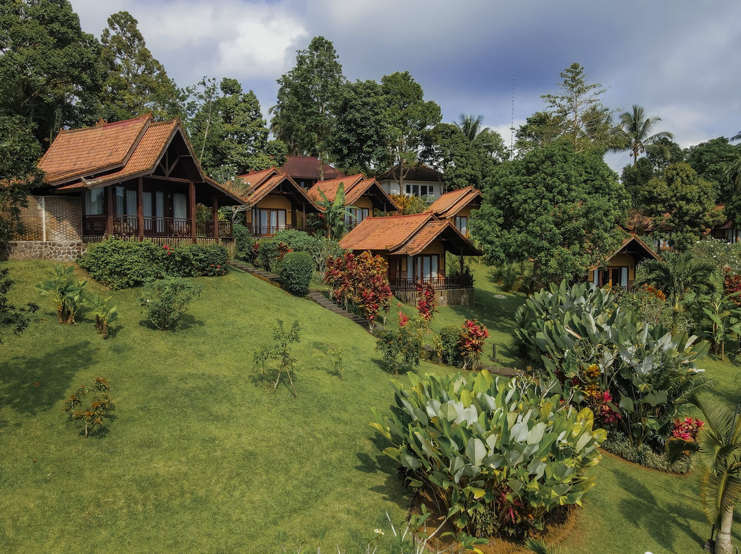 塞莱马德加酒店住宿-Bali Palms