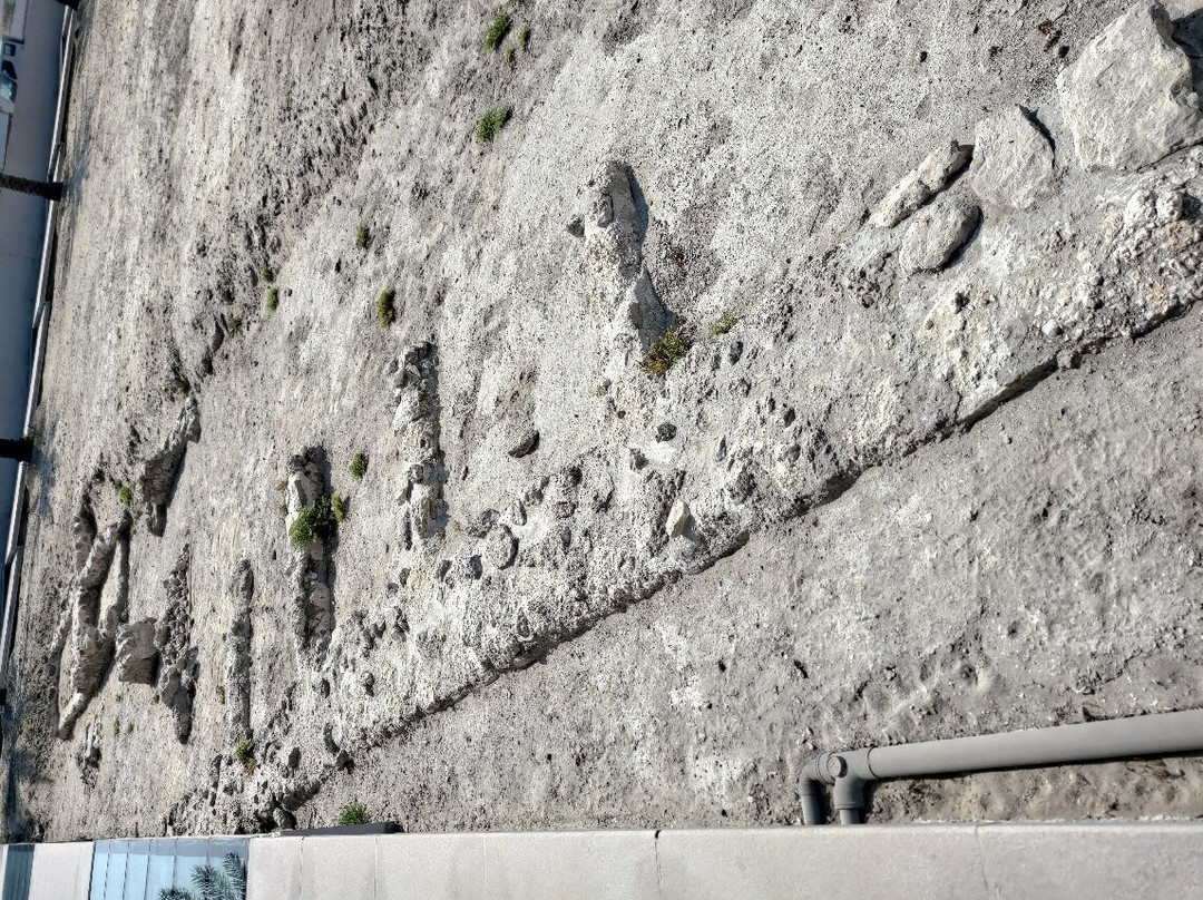 Khamis Mosque-麦纳麦必去景点