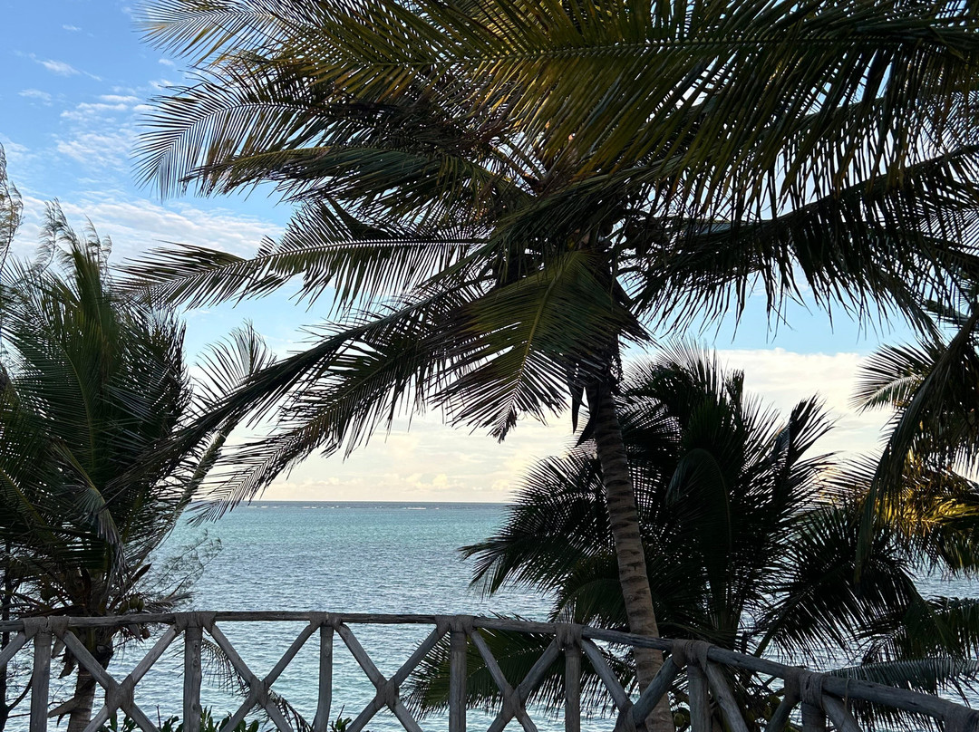 Villa Fleur De Lys主图