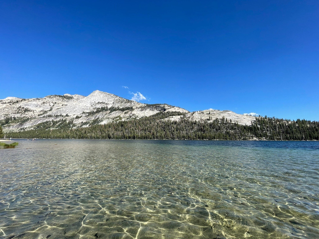 特亚纳湖景点图片