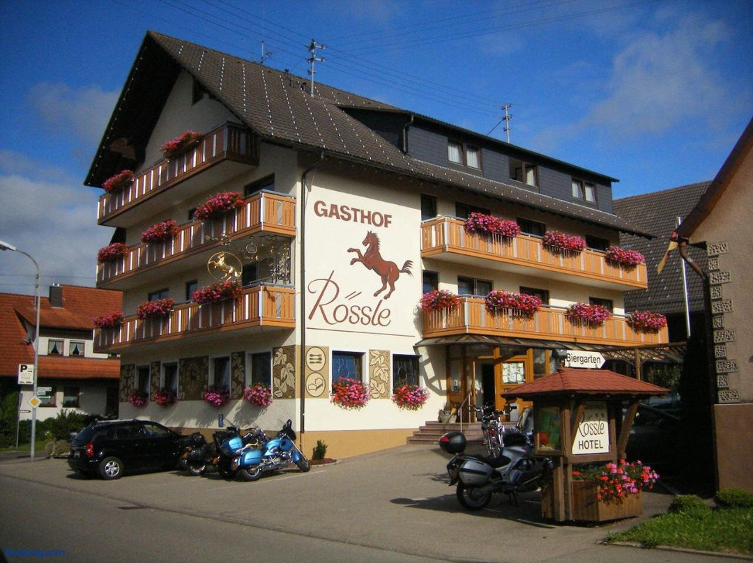 Hotel Gasthof Roessle主图