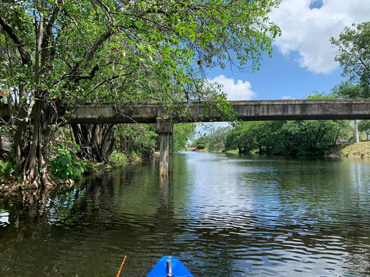 Swampdog Tours-韦斯顿必去景点