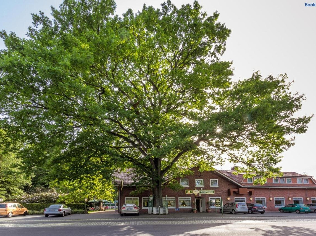 Gasthof Bathmann主图