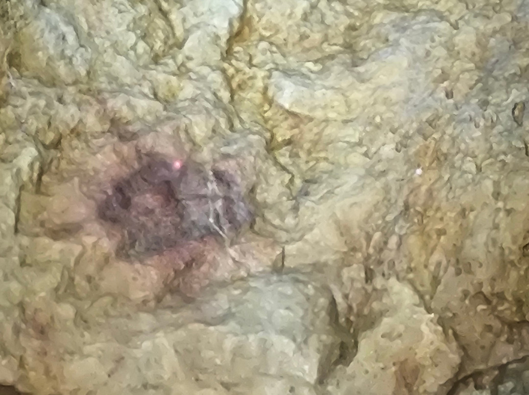 Grotte de Bernifal景点图片