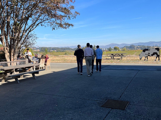 Napa Valley Wine Excursions-圣海伦娜必去景点