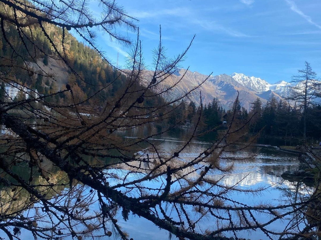 Lac Alpin de Champex-Champex必去景点