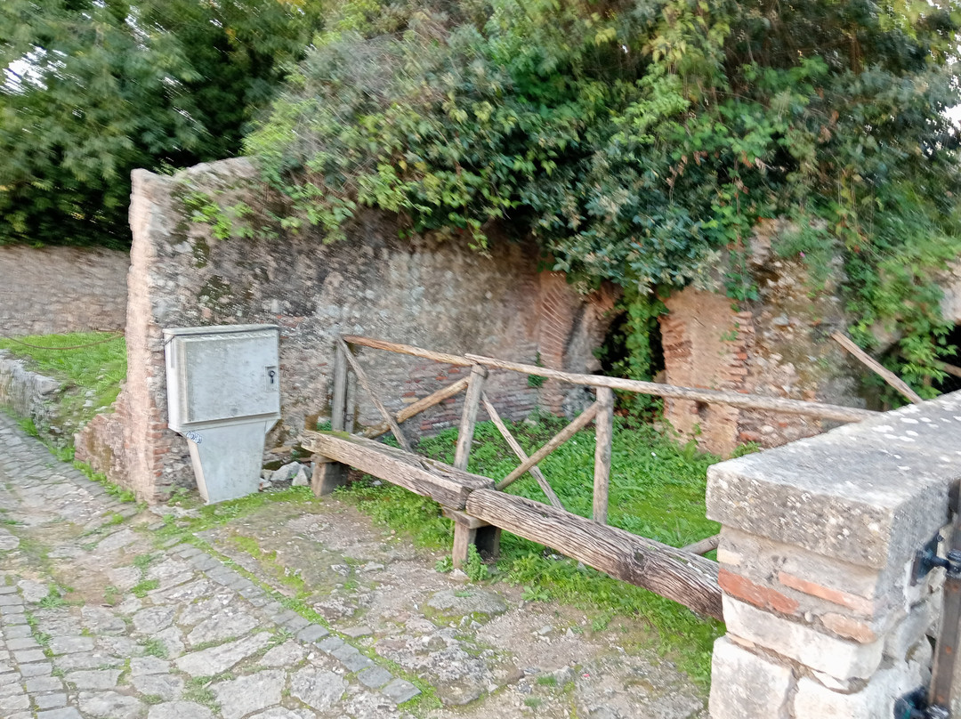 Terme Romane景点图片