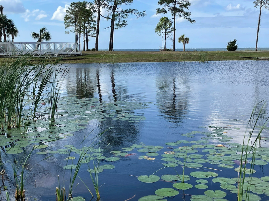 Cape San Blas Lighthouse景点图片