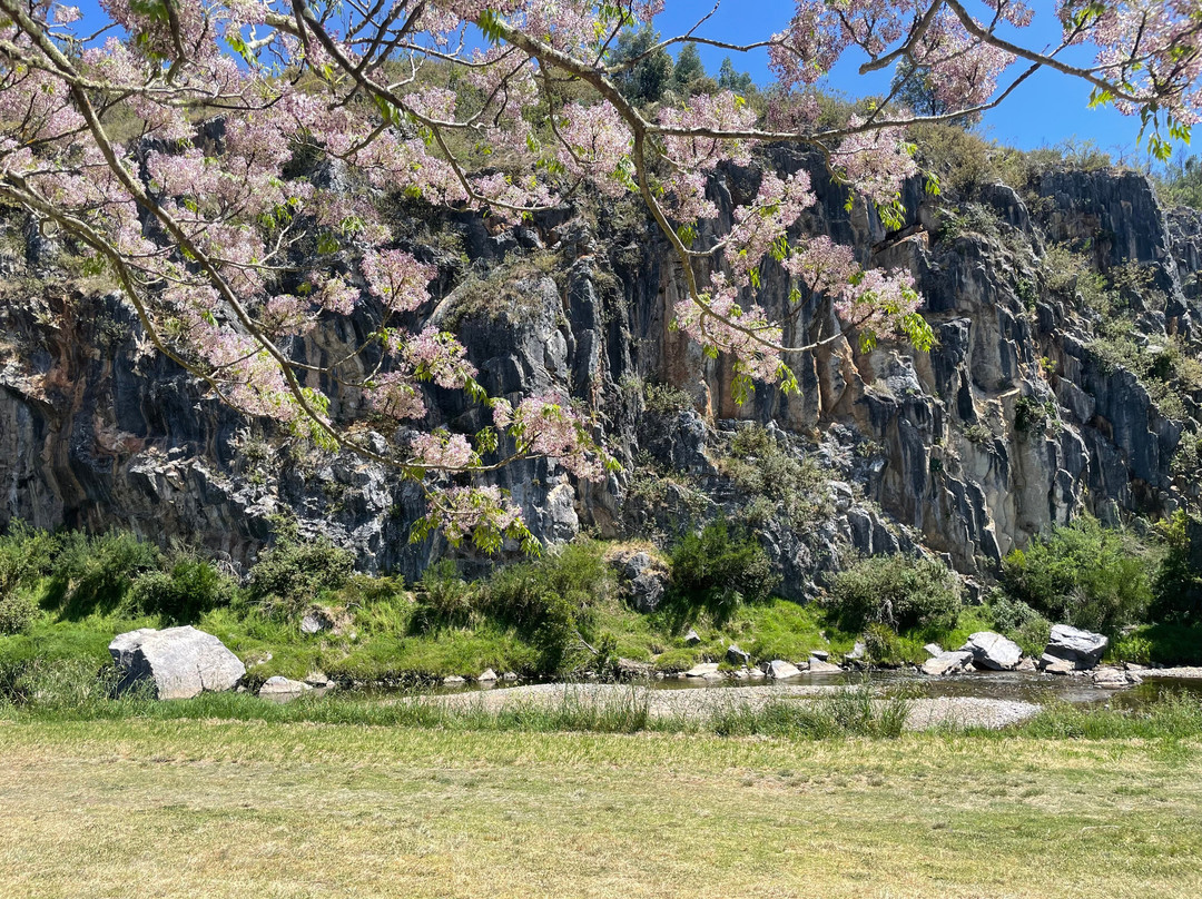 The Bluff Reserve景点图片