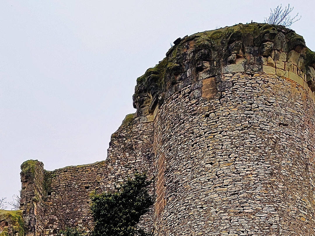 Château Du Bois Gourmond À Loudun景点图片
