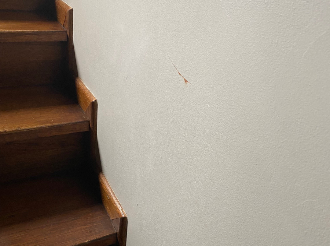 Herbertsdale酒店住宿-Gondwana Private Game Reserve