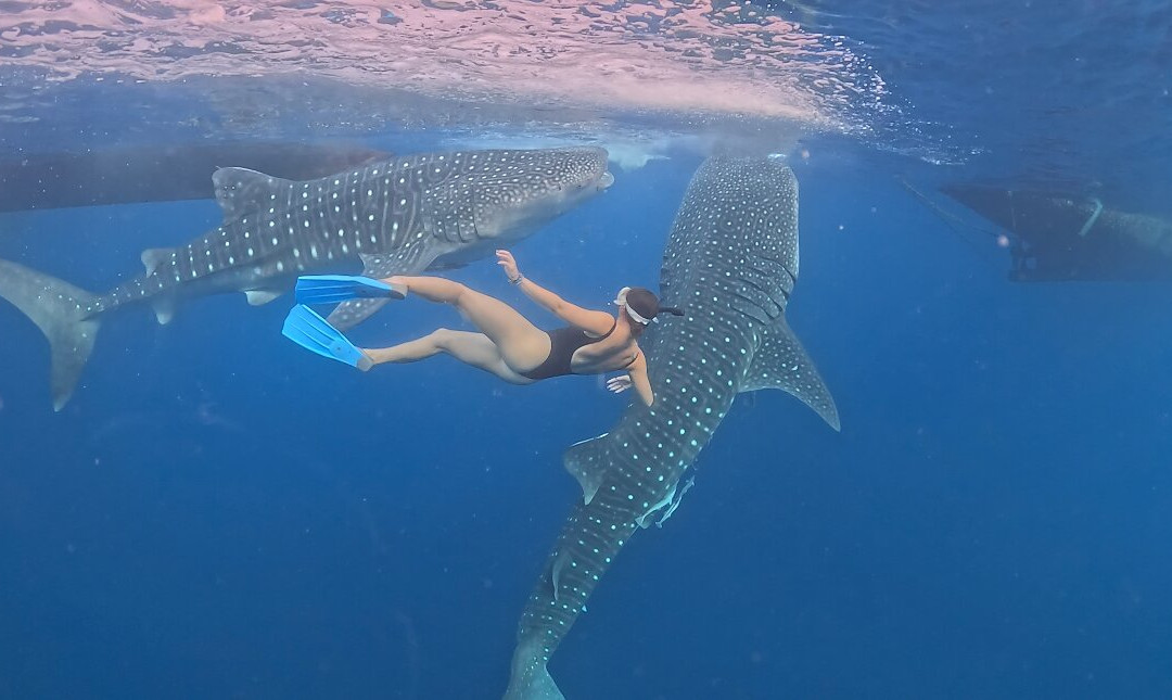 Sumbawa Holiday Tour-Sumbawa Besar必去景点