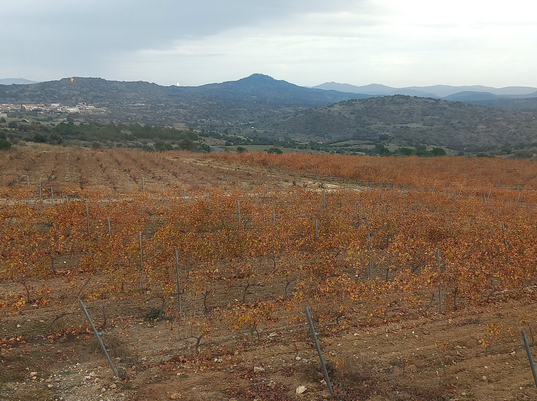 Tierras De Cebreros主图