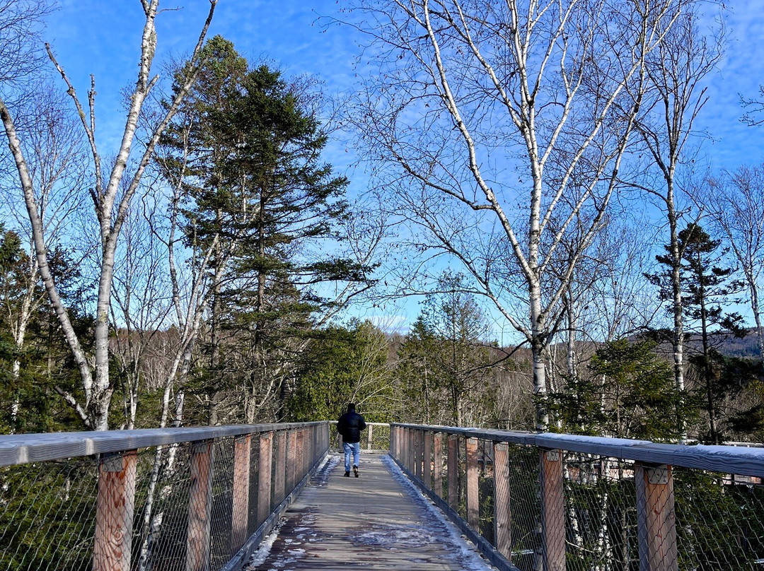 Sentier des cimes Laurentides景点图片