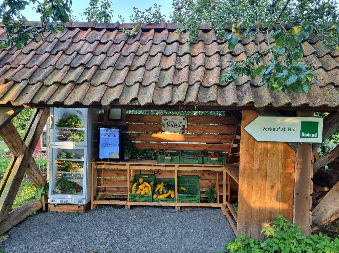 Hof Sickenberg主图