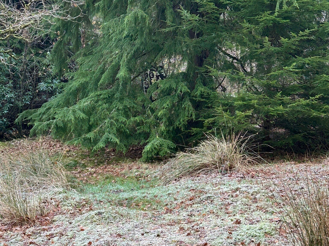 Ardkinglas Woodland Garden景点图片