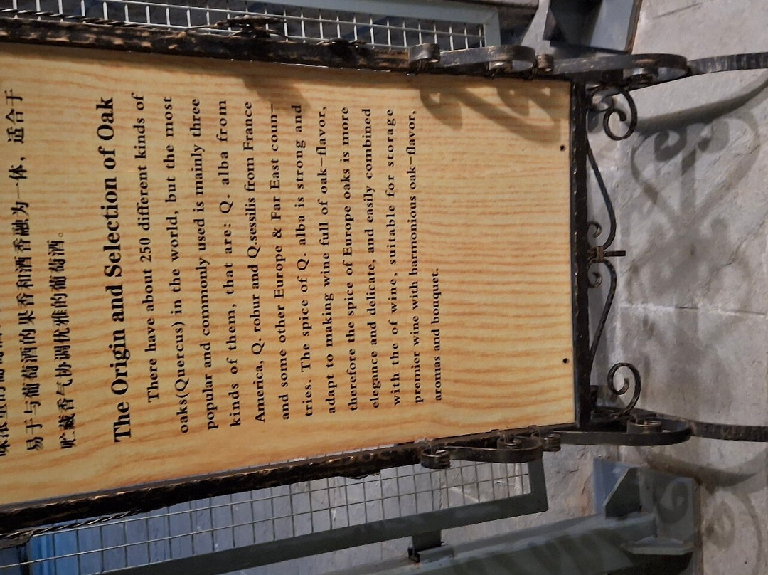 张裕国际葡萄酒城-烟台市必去景点