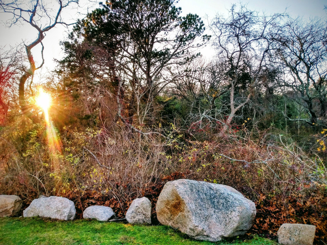 Lamb and Lion Inn主图