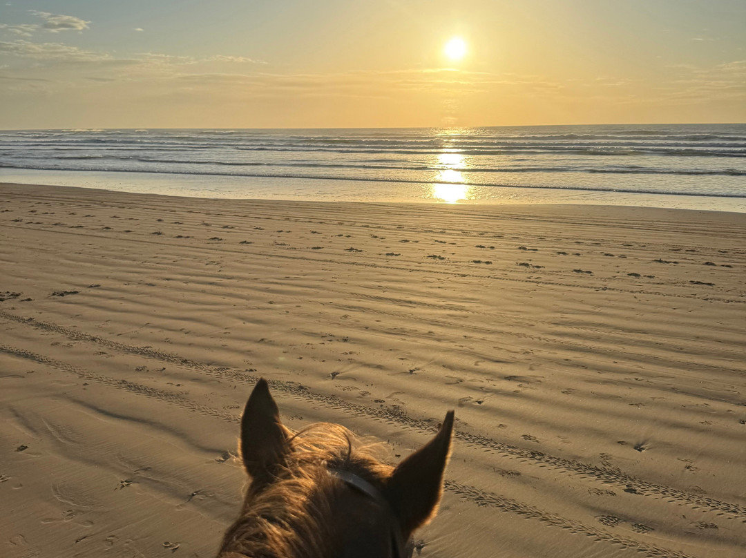 Maroc a Cheval-Sidi Kaouki必去景点