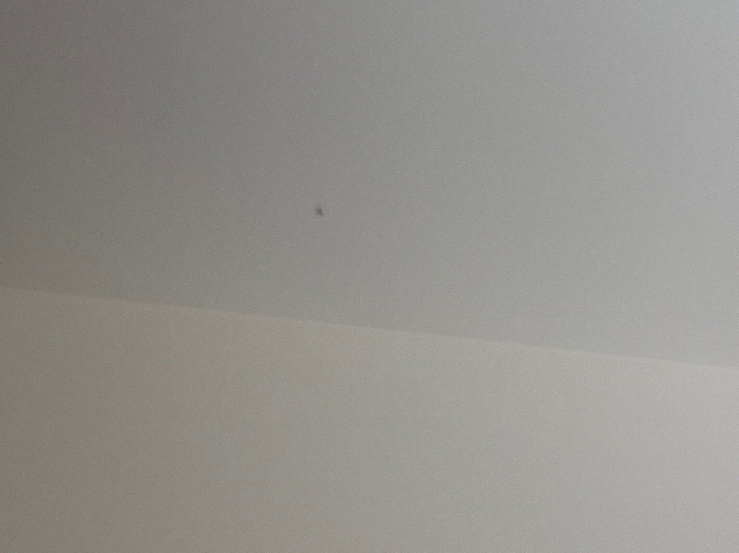 Hotel Casa Inn Premium Queretaro主图