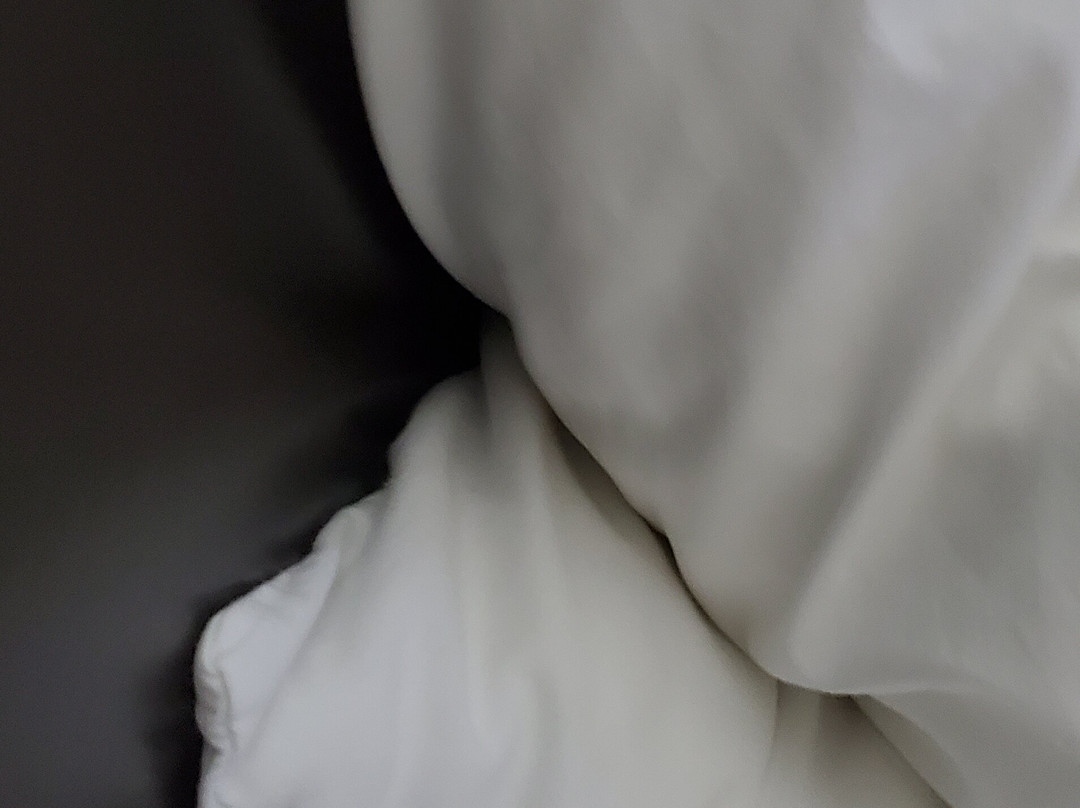 Best Western Rock Hill主图