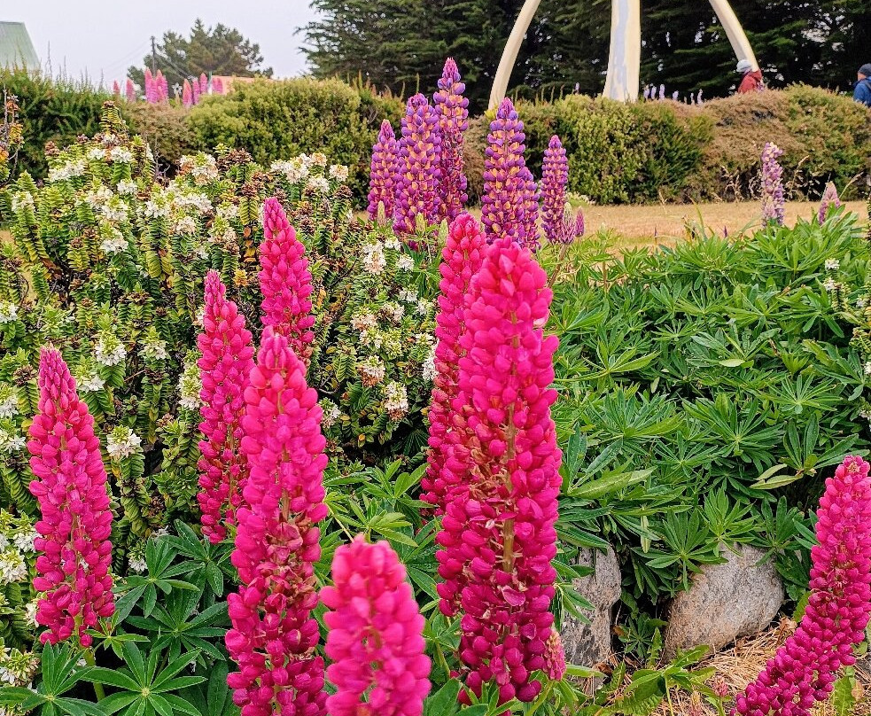 Christ Church Cathedral-Stanley必去景点