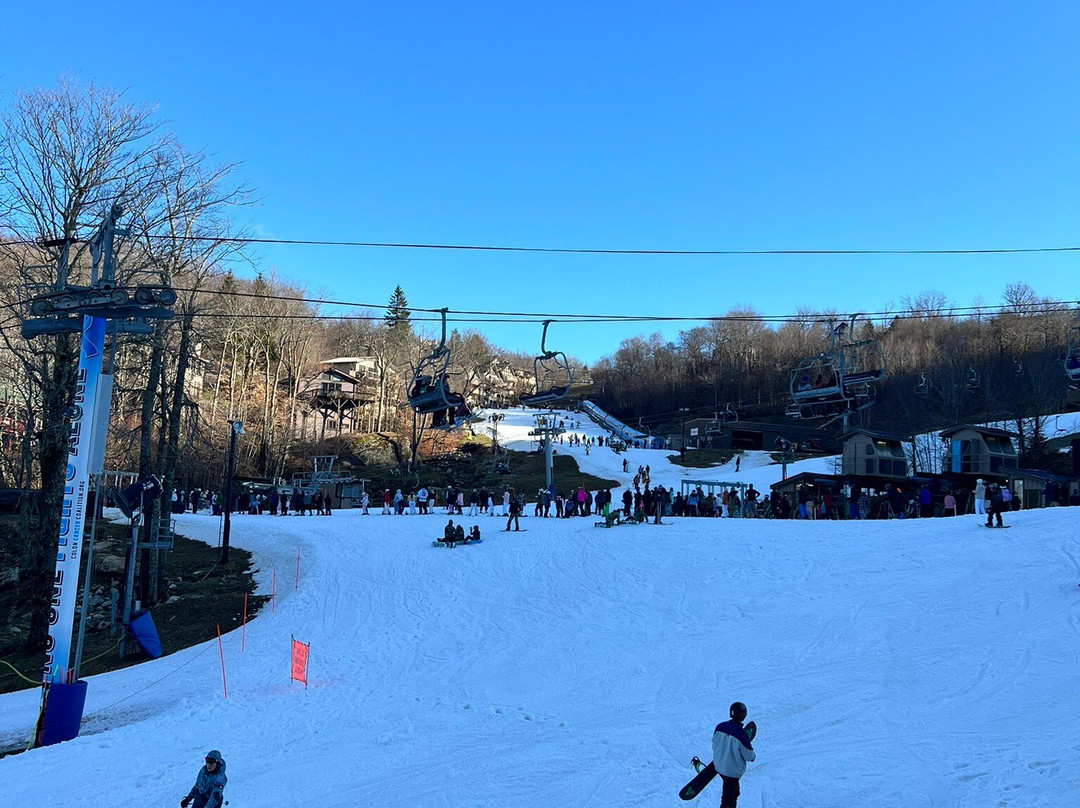 Beech Mountain Resort景点图片