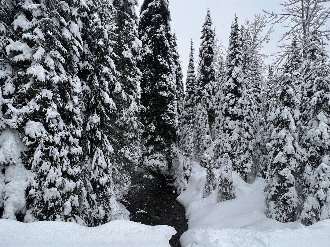 Whitefish Marine-怀特菲什必去景点