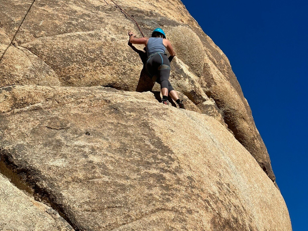 Cliffhanger Guides-约书亚树必去景点