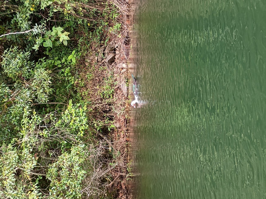Laguna Tierra Blanca-Zetaquira必去景点