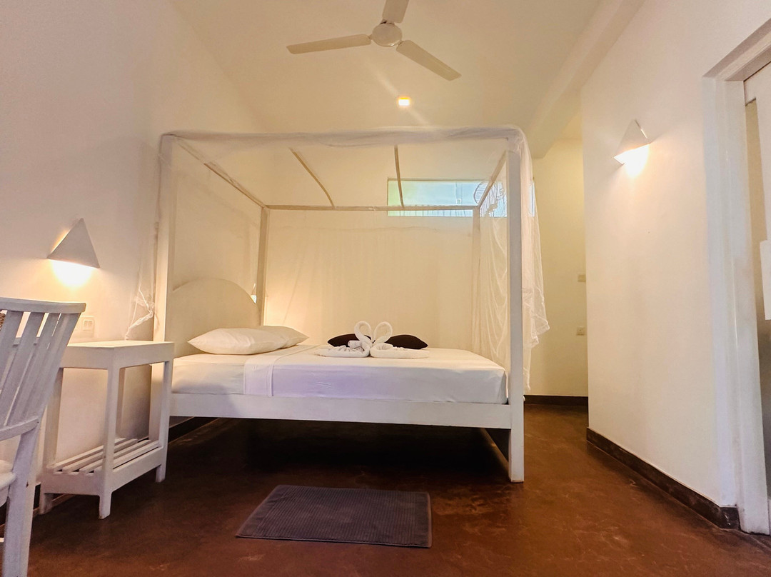 Colours Of Life Home主图