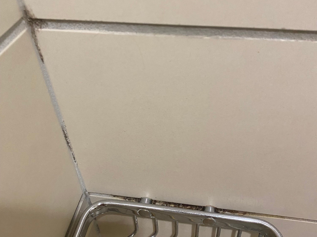 SpringHill Suites by Marriott Green Bay主图