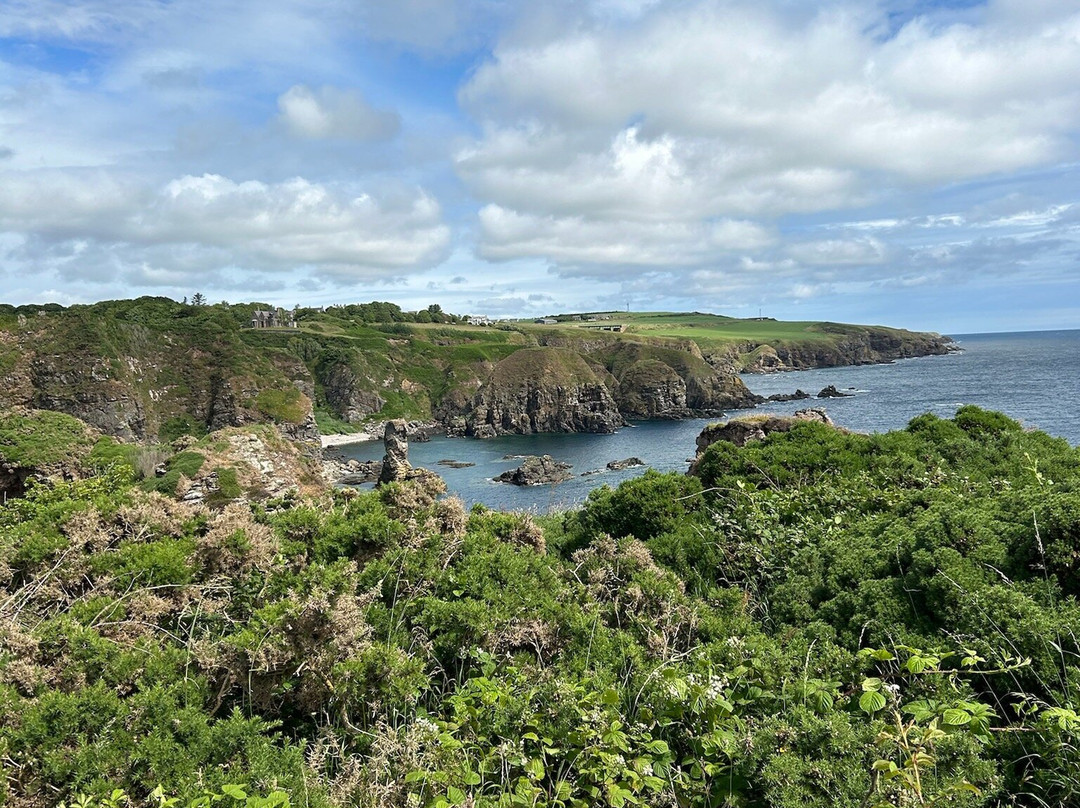 Toadhall Rooms主图