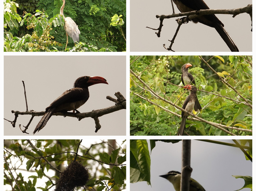 Pugu Hills Forest Reserve-Dar es Salaam必去景点