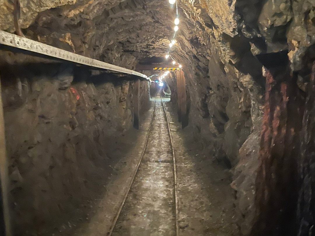 Long Tunnel Extended Gold Mine景点图片