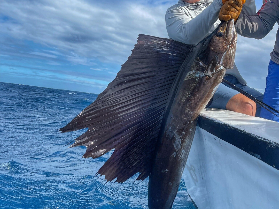 Dream On Sport Fishing景点图片