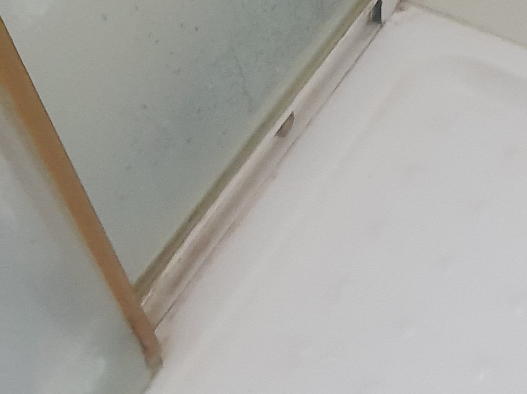 The Grand Hotel主图