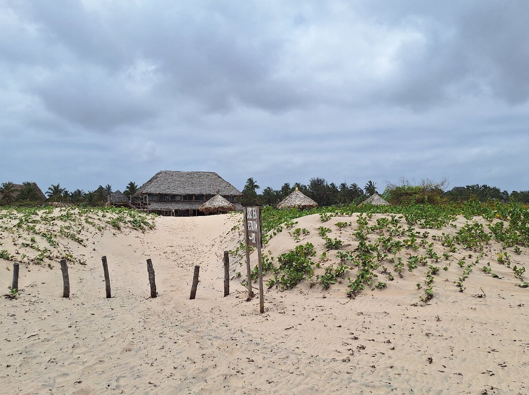 Juna's Restaurant Beach Bar Pizzeria