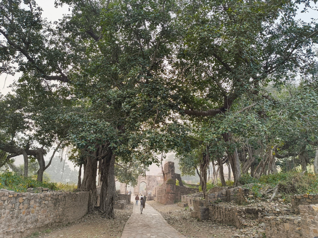 Bhangarh Fort-阿尔瓦必去景点