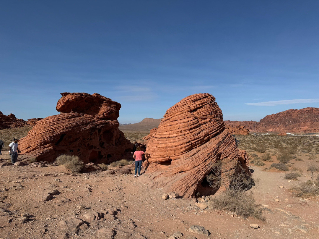 The Beehives-欧弗顿必去景点