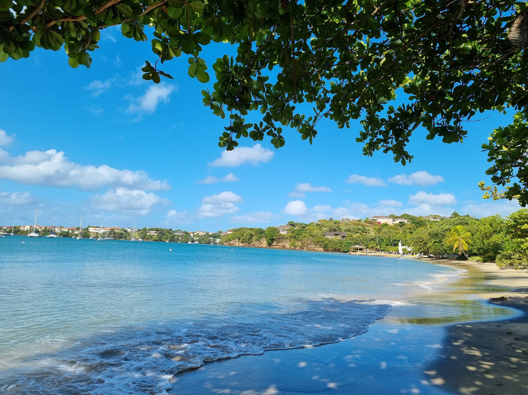 艾平兰斯小屋主图