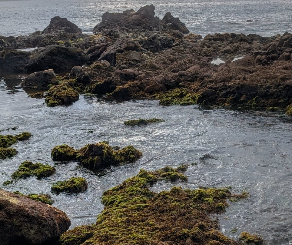 Donny's Watersports-Pointe Michel必去景点