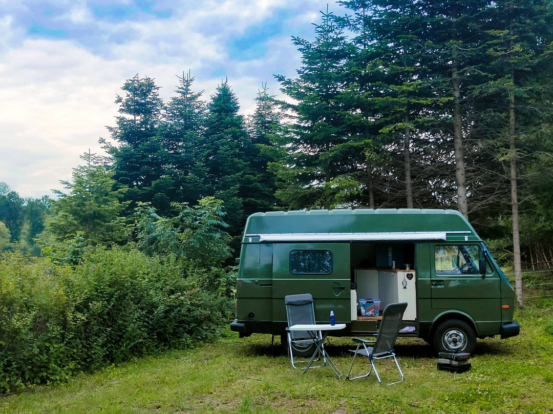 Langeland Camping