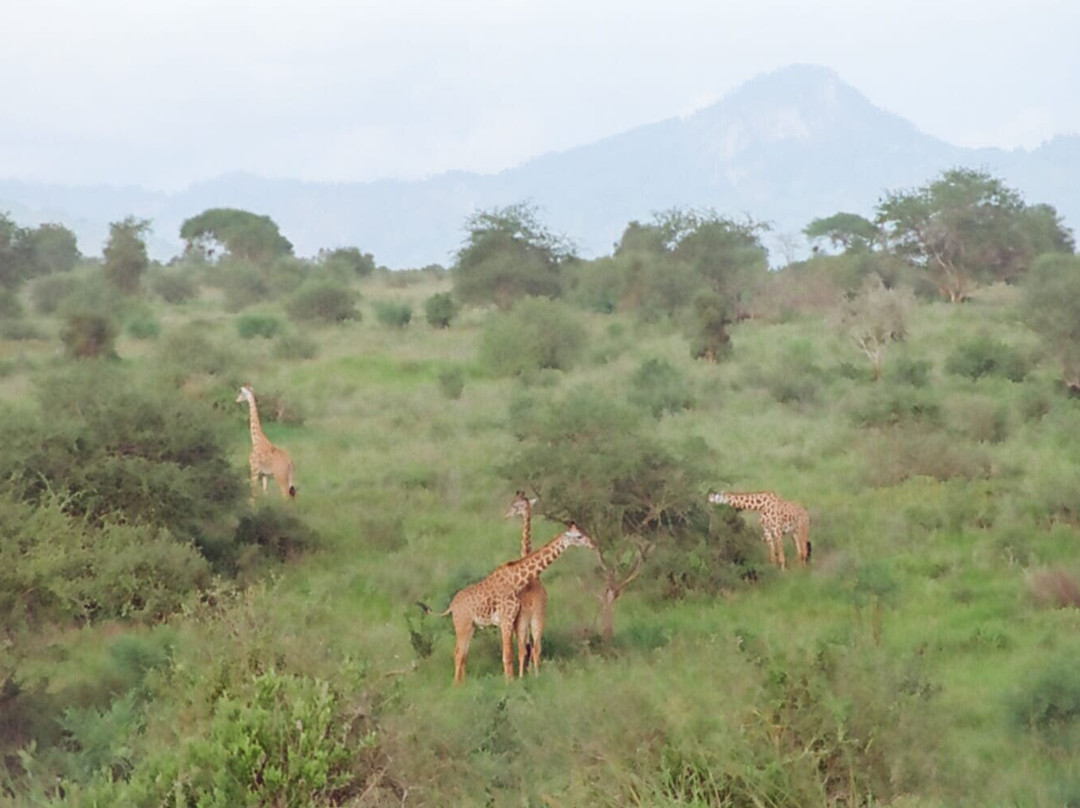 LUMO Community Wildlife Sanctuary景点图片