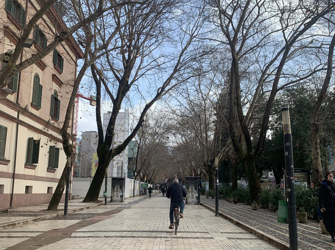 Rruga Murat Toptani-地拉那必去景点