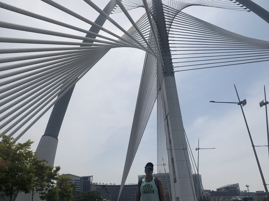 Seri Wawasan Bridge, Putrajaya-太子城必去景点