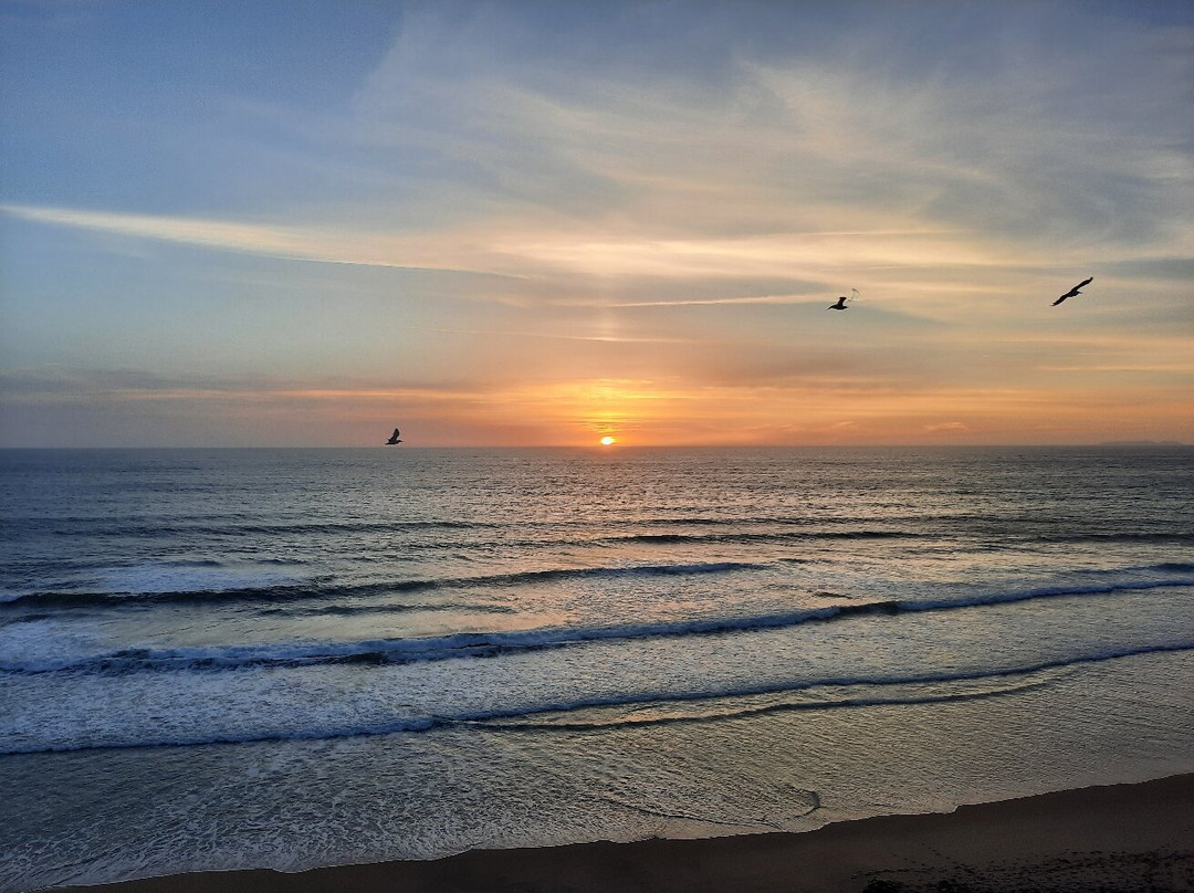 Praia da Areia Branca-Areia Branca必去景点