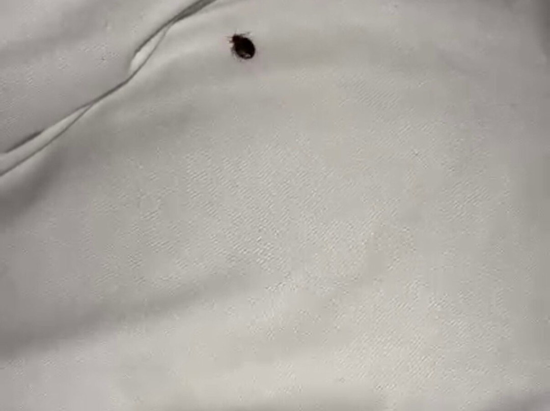 Hampton Inn & Suites by Hilton Thunder Bay主图